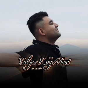 小马拉大车专吃童子鸡电影
