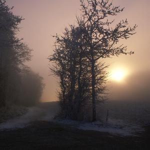 小马拉大车专吃童子鸡电影
