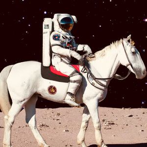 小马拉大车专吃童子鸡电影
